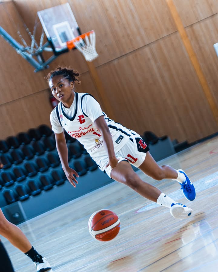 Castelnau Basket